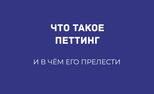 ЧТО ТАКОЕ ПЕТТИНГ